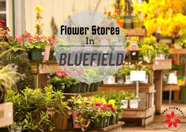 The Flower Stores
