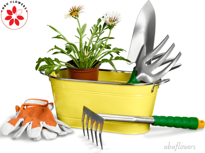 Flowers And Essential Plant Tools Needed For Gardening - NbuFlowers