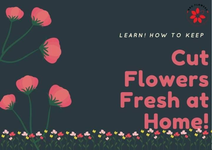 How to Keep Cut Fresh Flowers