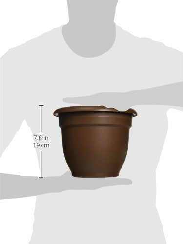 Bloem 20-56308CH Ariana Self Watering Planter, 8", Chocolate, 8", Browns - NbuFlowers