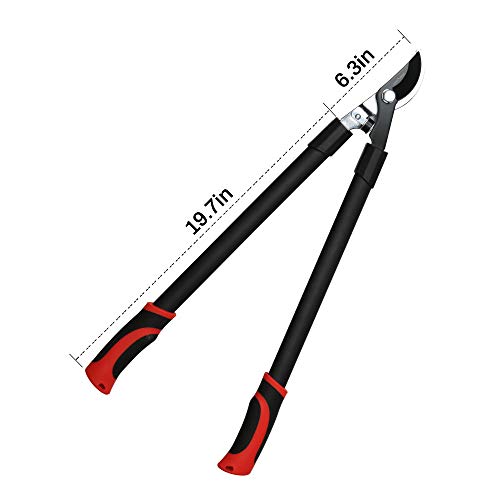 FLORA GUARD 26-Inch Bypass Lopper, Makes Clean Professional Cuts, 1.25-Inch Cutting Capacity, Tree Trimmer and Branch Cutter Featuring Sturdy - NbuFlowers