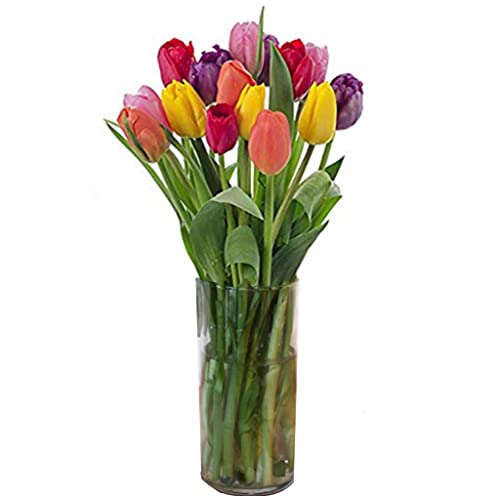 Stargazer Barn The Rainbow Bouquet Freshly Picked Colorful Tulips with Vase Included Purple, Pink, White, Red, Yellow, Orange 6 Piece Set, Flowers, 1 Count - NbuFlowers