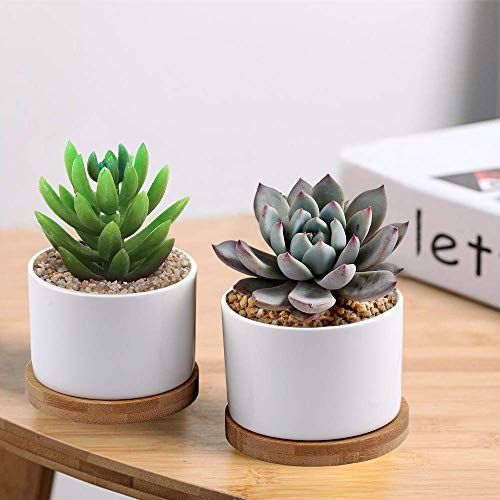 Succulent Pots, ZOUTOG White Mini 3.15 inch Ceramic Flower Planter Pot with Bamboo Tray, Pack of 6 - Plants Not Included - NbuFlowers