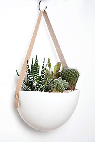 Mkono Ceramic Hanging Planter Wall Planter Set of 3 Modern Flower Plant Pots for Succulent Herb Air Plant Live or Faux Plants Home Office Decor Idea (Plant Not Included), White - NbuFlowers