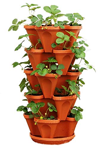 Stackable Planters, Strawberry Tiered Planter - NbuFlowers