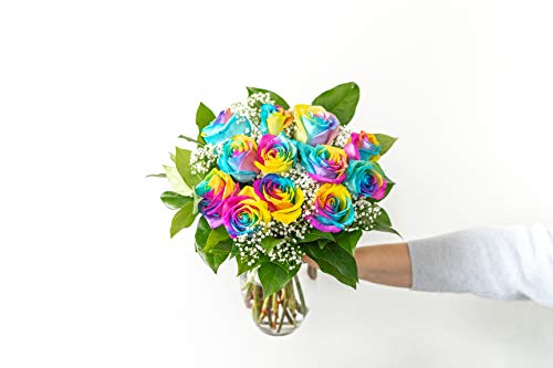 Flowers - One Dozen Wild Rainbow Roses (Free Vase Included) - NbuFlowers