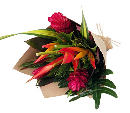 BloomsyBox - Tropical Bouquet Treasure with Bright Heliconias, Pink Ginger and Tropical Greenery - NbuFlowers