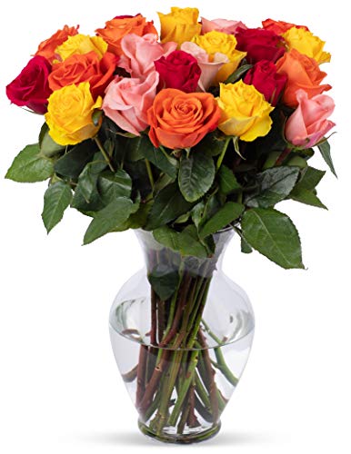 Benchmark Bouquets 2 Dozen Rainbow Roses, With Vase (Fresh Cut Flowers) - NbuFlowers