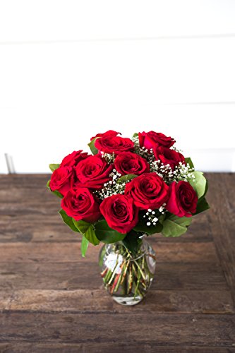 Flowers - One Dozen Long Stemmed Red Roses (Free Vase Included) - NbuFlowers