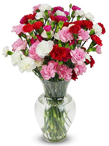 Benchmark Bouquets 20 stem Rainbow Mini Carnations, With Vase (Fresh Cut Flowers) - NbuFlowers