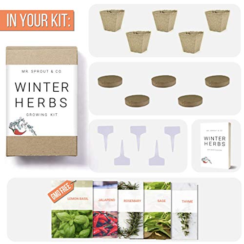 Winter Indoor Garden Kit - Herb Garden Seed Starter Kit for Gardening Indoors | Plant Grow Kit with Sage Rosemary Seeds and Hot Pepper Seeds for Planting | Growing Fresh Kitchen Herbs - By Mr Sprout - NbuFlowers