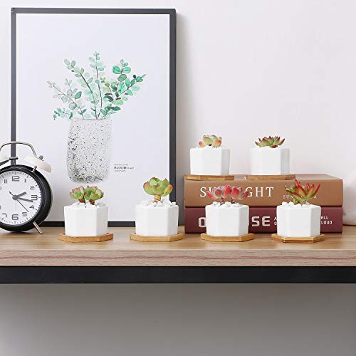 T4U Small White Succulent Planter Pots with Bamboo Tray Hexagon Set of 6, Geometric Cactus Plant Holder Container for Home Office Table Desk Decoration for Mom Aunt Sisiter Daughter Gardener - NbuFlowers
