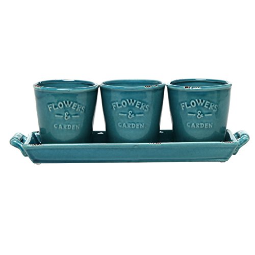 MyGift Set of 3 Country Rustic Turquoise Ceramic Succulent Planters/Flower Pots & Handled Display Tray - NbuFlowers