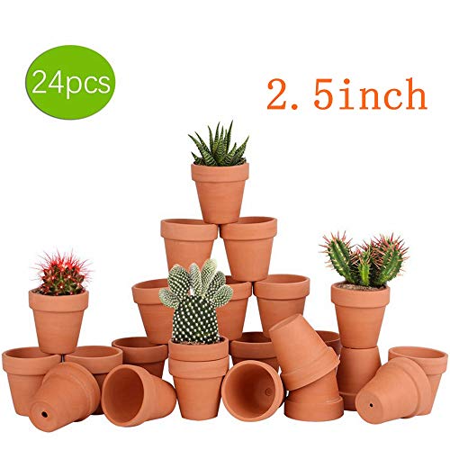 Terracotta Flower Pots 2.5 inches