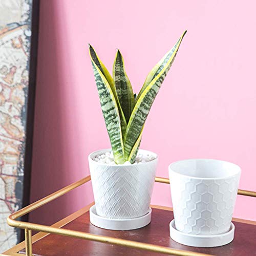 BUYMAX Plant Pots Indoor –5 inch Ceramic Flower Pot with Drainage Hole and Ceramic Tray - Gardening Home Desktop Office Windowsill Decoration Gift, Set of 4 - Plants NOT Included (White) - NbuFlowers