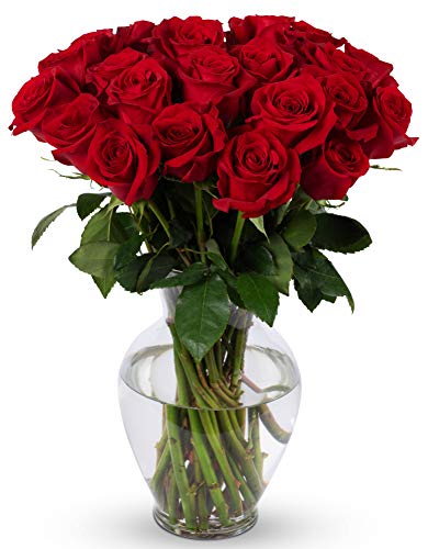 Benchmark Bouquets 2 Dozen Red Roses, With Vase (Fresh Cut Flowers) - NbuFlowers