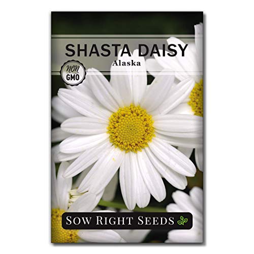 Sow Right Seeds - Flower Garden Seed Collection - Coneflower, Snapdragon, Zinnia, Cosmos, Cape Daisy, Aster, Lupine, Black-eyed Susan, Shasta Daisy, and Blanket Flower; Heirloom Seeds for Planting - NbuFlowers
