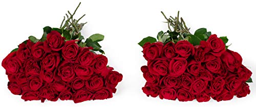 Benchmark Bouquets 50 Red Roses Farm Direct (Fresh Cut Flowers) - NbuFlowers