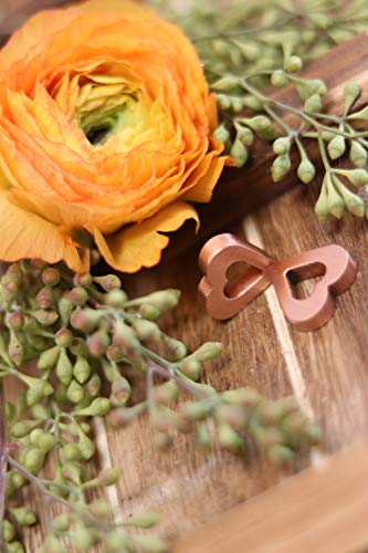 Flower Food Alternative for Fresh Cut Flowers. Copper Charm Keeps Flower Water Clean and Clear. Just Place it in the Vase, Reusable (1) - NbuFlowers