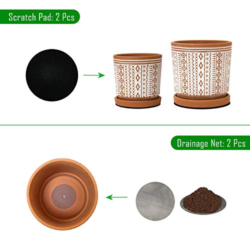 Set of 2 Terracotta Pots, 4 Inch & 6 Inch, Planter Pots for Plants with Drainage Holes and Saucers, Terracotta/White, Small, 31-958-A-1 - NbuFlowers