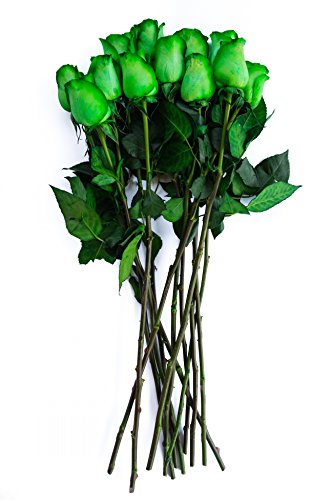 green rose flower