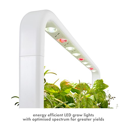 Click and Grow Smart Garden 9 Indoor Home Garden (Includes 3 Mini Tomato, 3 Basil and 3 Green Lettuce Plant pods), Gray - NbuFlowers