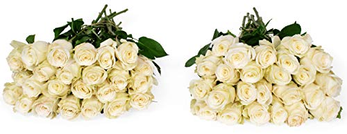 Benchmark Bouquets 50 White Roses Farm Direct (Fresh Cut Flowers) - NbuFlowers