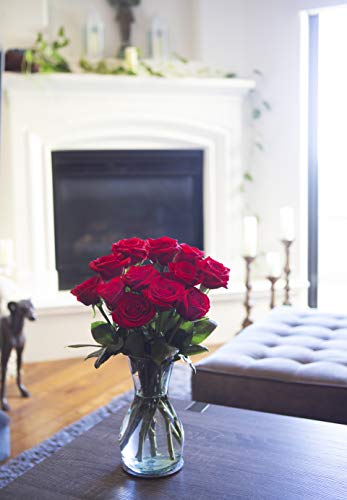 Delivery by Tuesday, July 6th Dozen Red Roses by Arabella Bouquets - NbuFlowers