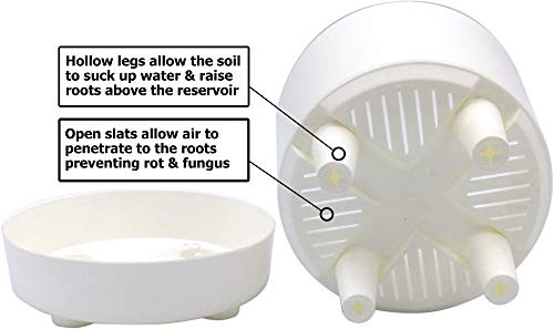 8" Self Watering + Self Aerating High Drainage Deep Reservoir Round Plant Pot, Maintains Healthy Roots, for Indoor & Outdoor & Windowsill Gardens (White) - NbuFlowers