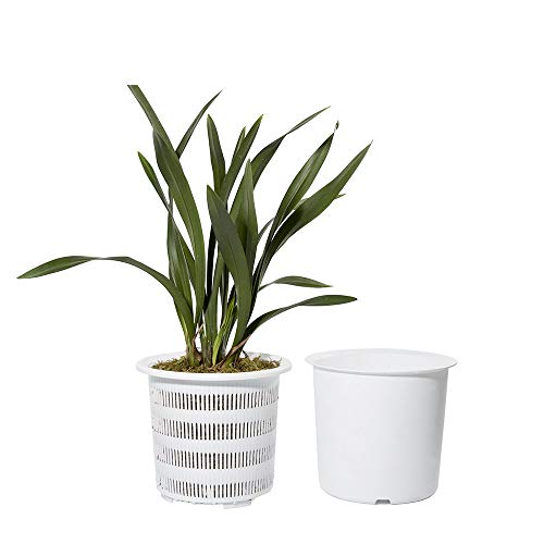 Mkono 7 Inch Plastic Orchid Pots Set with Holes and Mesh, 2 Inner and 2 Outer Plant Planters - NbuFlowers