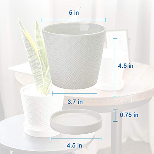BUYMAX Plant Pots Indoor –5 inch Ceramic Flower Pot with Drainage Hole and Ceramic Tray - Gardening Home Desktop Office Windowsill Decoration Gift, Set of 4 - Plants NOT Included (White) - NbuFlowers