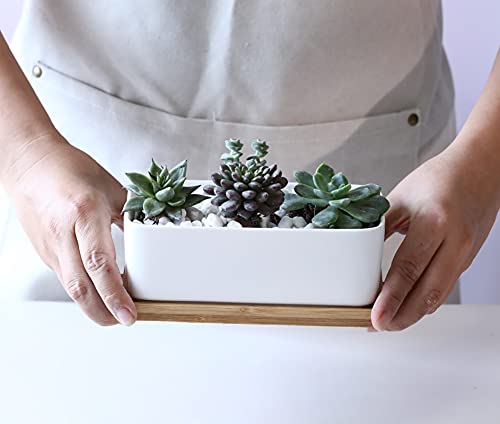 Lanker 6.5 Inch Rectangle White Ceramic Succulent Planter Pot Decorative Cactus Plant Pot Flower Container with Bamboo Tray (Rectangle 6.5 Inch) - NbuFlowers