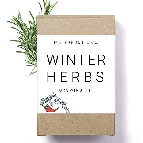 Winter Indoor Garden Kit - Herb Garden Seed Starter Kit for Gardening Indoors | Plant Grow Kit with Sage Rosemary Seeds and Hot Pepper Seeds for Planting | Growing Fresh Kitchen Herbs - By Mr Sprout - NbuFlowers