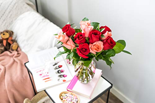 Flowers - One Dozen Red & Pink Roses with Chocolates and a Bear (Free Vase Included) - NbuFlowers