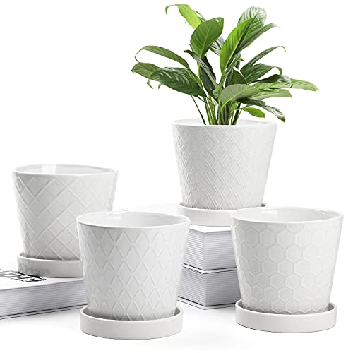 BUYMAX Plant Pots Indoor –5 inch Ceramic Flower Pot with Drainage Hole -  NbuFlowers
