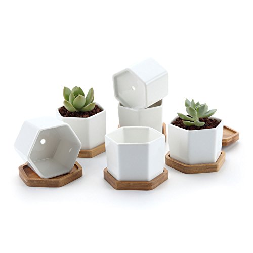 T4U Small White Succulent Planter Pots with Bamboo Tray Hexagon Set of 6, Geometric Cactus Plant Holder Container for Home Office Table Desk Decoration for Mom Aunt Sisiter Daughter Gardener - NbuFlowers