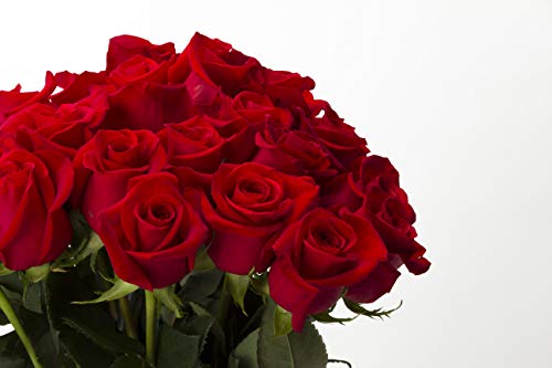 Flower Delivery Service BloomsyBox- 24 Long Stem Red Roses Hand-tied Bouquet -No Vase - NbuFlowers