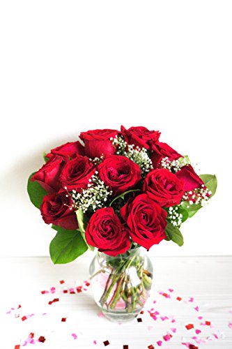 Flowers - One Dozen Long Stemmed Red Roses (Free Vase Included) - NbuFlowers