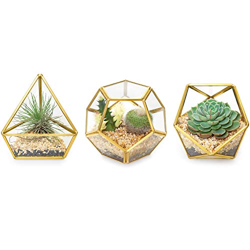 Mkono 4 Inches Mini Glass Geometric Terrarium Container Set of 3 Modern Tabletop Planter Shelves Decor Display Box Centerpiece Gift for Succulent Miniature Fairy Garden, Gold (Plant Not Included) - NbuFlowers