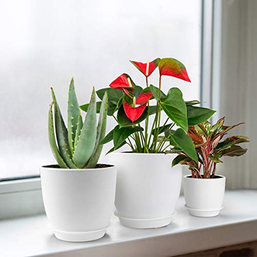 Plastic Planter, HOMENOTE 7/6/5.5/4.8/4.5 Inch Flower Pot Indoor Modern Decorative Plastic Pots for Plants with Drainage Hole and Tray for All House Plants, Succulents, Flowers, and Cactus, White - NbuFlowers