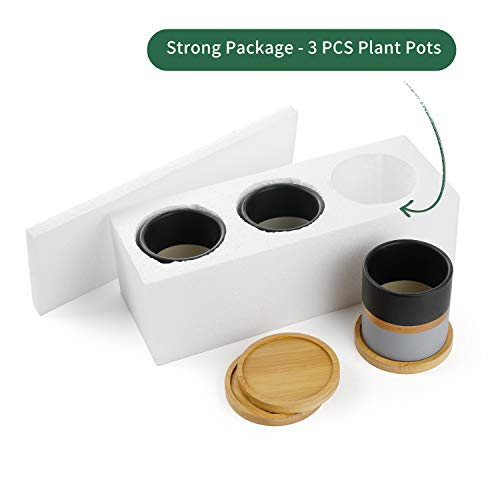 Succulent Planters Pots for Plants Indoor - 3.1 Inches Ceramic Small Planters with Bamboo Saucer for Plants Succulent Cactus House Office Decor(POTEY 055401, 3 PCS, Plant NOT Included) - NbuFlowers