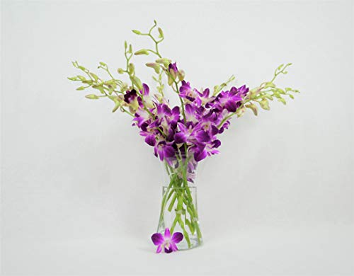 Athena's Garden Fresh Vibrant Purple Dendrobium Sonia/Galaxy/Bombay Cut Orchids Bunch with Vase, Glass - NbuFlowers