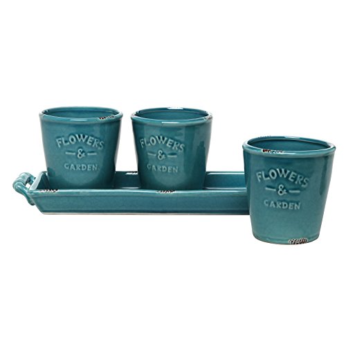 MyGift Set of 3 Country Rustic Turquoise Ceramic Succulent Planters/Flower Pots & Handled Display Tray - NbuFlowers