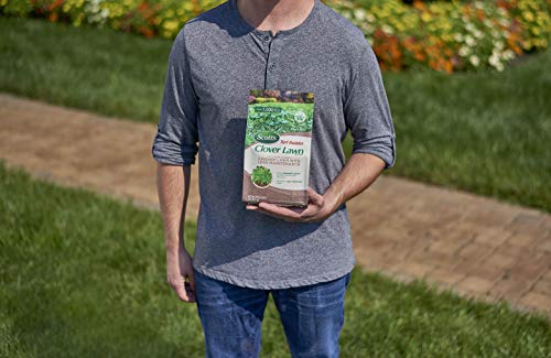 Scotts Turf Builder Clover Lawn, 2 Lb - NbuFlowers