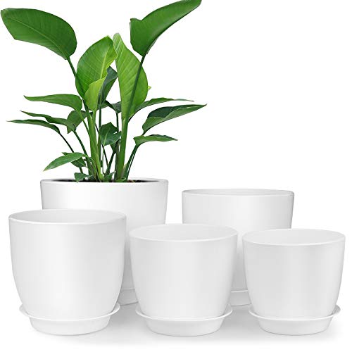 Plastic Planter, HOMENOTE 7/6/5.5/4.8/4.5 Inch Flower Pot Indoor Modern Decorative Plastic Pots for Plants with Drainage Hole and Tray for All House Plants, Succulents, Flowers, and Cactus, White - NbuFlowers