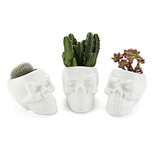 T4U White Ceramic Skull Shaped Succulent Planter Pots Set of 3, Cute Cactus Plant Pot Creative Pen Pencil Holder for Home Office Desk Decoration Birthday Wedding Christmas Gift - NbuFlowers