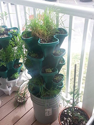 Mr. Stacky 1305-HG 5-Tier Stackable Strawberry, Herb, Flower, & Vegetable Planter - Vertical Gardening Indoor/Outdoor Stacking Garden Pots - NbuFlowers