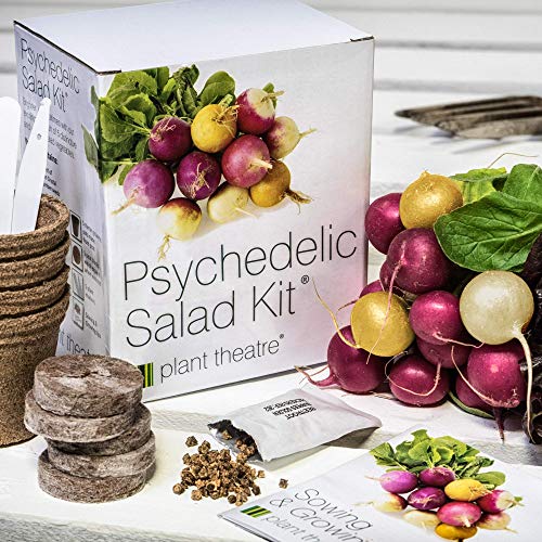 Plant Theatre Psychedelic Salad Kit - 5 Fantastic Salad Vegetables to Grow - NbuFlowers