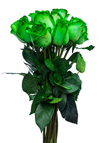 green roses bouquet,green wedding bouquet,fresh cut roses,green rose,Fresh Cut Tinted Green Roses Bouquet,36 Stems - Fresh Cut Tinted Green Roses Bouquet - Green Wedding Bouquet