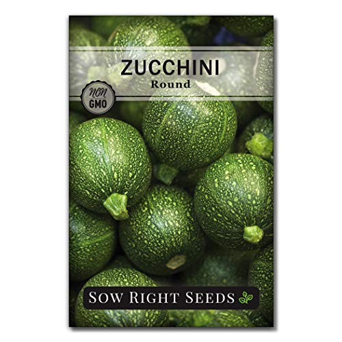 Sow Right Seeds - Round Zucchini Seed for Planting - Non-GMO Heirloom Packet with Instructions to Plant a Home Vegetable Garden - Great Gardening Gift (1) - NbuFlowers